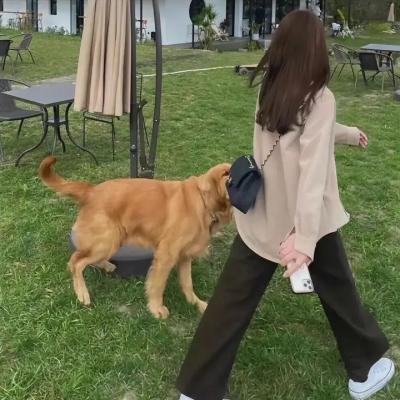 儿子老子